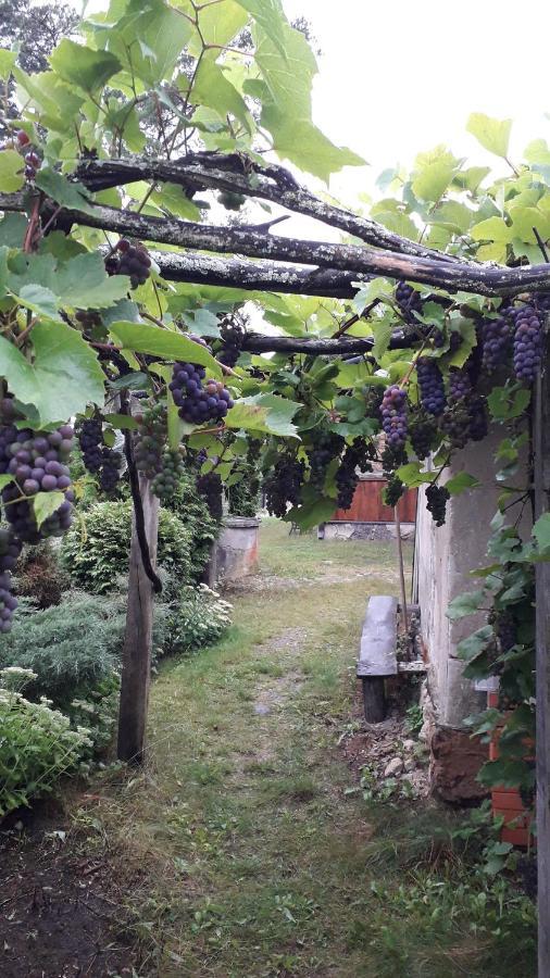 Villa Idilliska Latgaliesu Lauku Maja Ar Melno Pirti Aglona Exterior foto