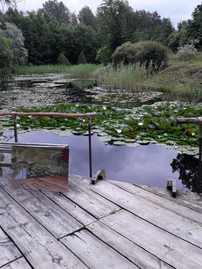 Villa Idilliska Latgaliesu Lauku Maja Ar Melno Pirti Aglona Exterior foto