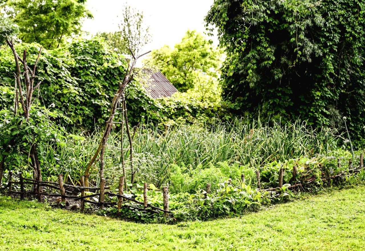 Villa Idilliska Latgaliesu Lauku Maja Ar Melno Pirti Aglona Exterior foto