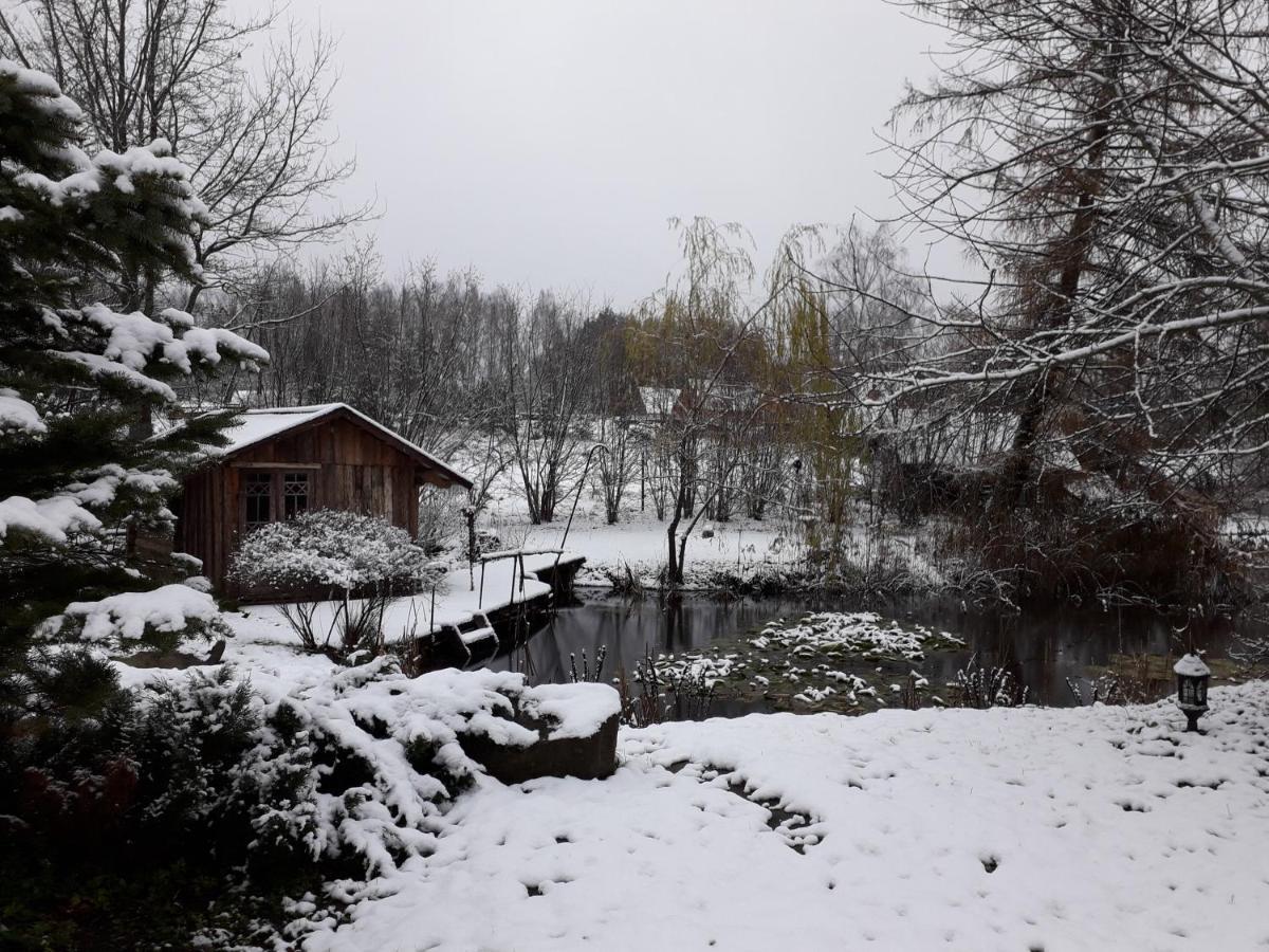 Villa Idilliska Latgaliesu Lauku Maja Ar Melno Pirti Aglona Exterior foto